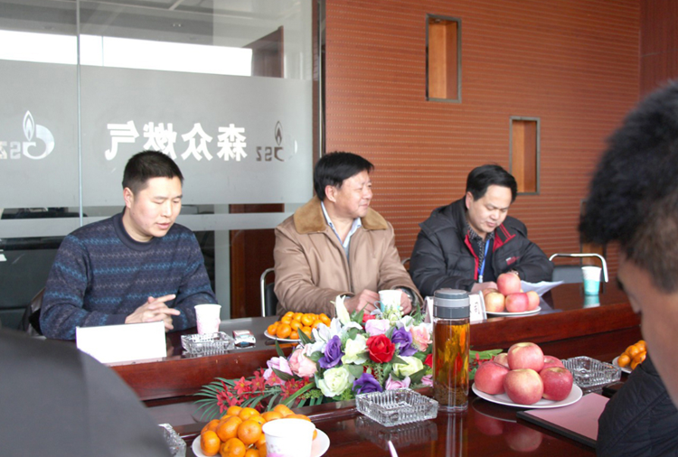林口县政府与火博体育(中国)官方网站-火博 SPORTS燃气项目洽谈.png